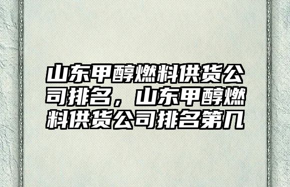 山東甲醇燃料供貨公司排名，山東甲醇燃料供貨公司排名第幾