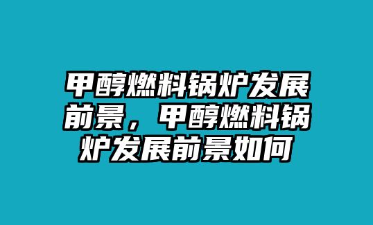 甲醇燃料鍋爐發(fā)展前景，甲醇燃料鍋爐發(fā)展前景如何