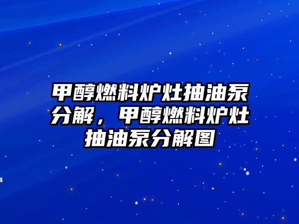 甲醇燃料爐灶抽油泵分解，甲醇燃料爐灶抽油泵分解圖