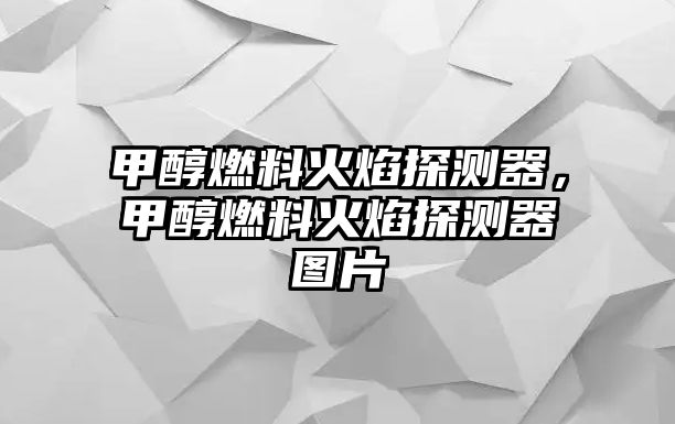 甲醇燃料火焰探測(cè)器，甲醇燃料火焰探測(cè)器圖片