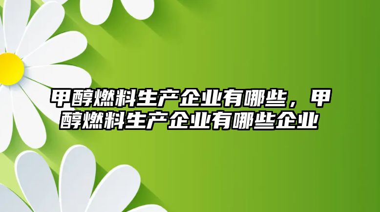 甲醇燃料生產企業(yè)有哪些，甲醇燃料生產企業(yè)有哪些企業(yè)