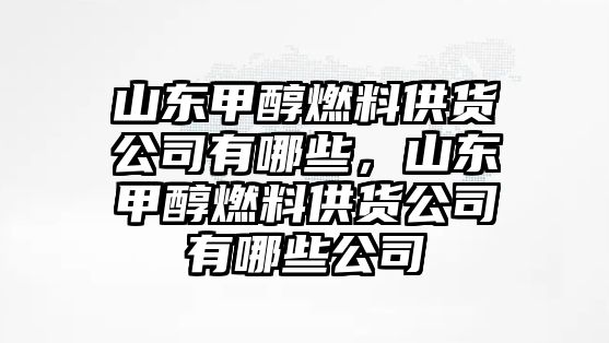 山東甲醇燃料供貨公司有哪些，山東甲醇燃料供貨公司有哪些公司