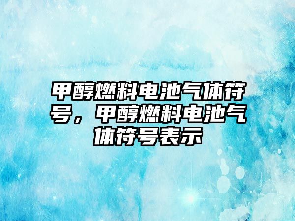 甲醇燃料電池氣體符號，甲醇燃料電池氣體符號表示