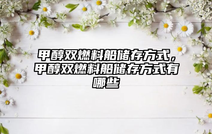 甲醇雙燃料船儲(chǔ)存方式，甲醇雙燃料船儲(chǔ)存方式有哪些