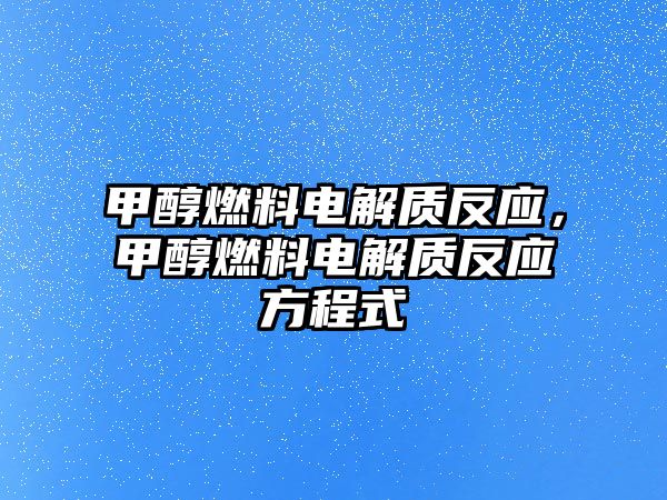 甲醇燃料電解質反應，甲醇燃料電解質反應方程式