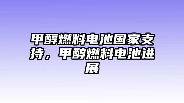 甲醇燃料電池國家支持，甲醇燃料電池進(jìn)展