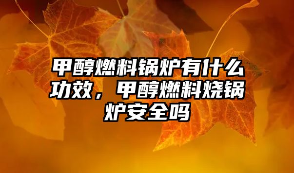 甲醇燃料鍋爐有什么功效，甲醇燃料燒鍋爐安全嗎