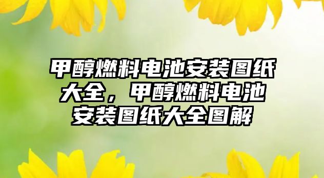 甲醇燃料電池安裝圖紙大全，甲醇燃料電池安裝圖紙大全圖解