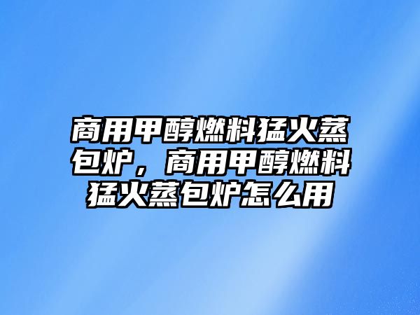 商用甲醇燃料猛火蒸包爐，商用甲醇燃料猛火蒸包爐怎么用