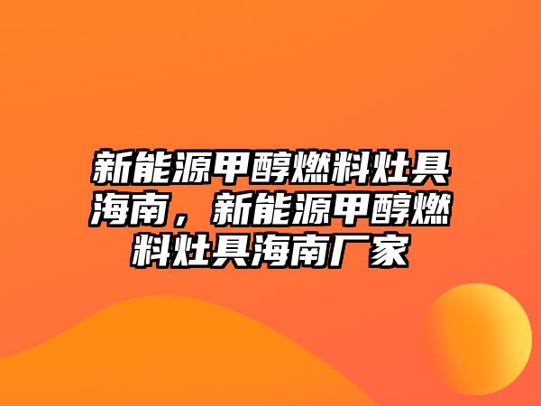 新能源甲醇燃料灶具海南，新能源甲醇燃料灶具海南廠家