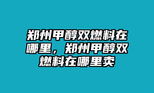 鄭州甲醇雙燃料在哪里，鄭州甲醇雙燃料在哪里賣