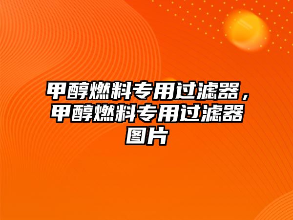 甲醇燃料專用過(guò)濾器，甲醇燃料專用過(guò)濾器圖片