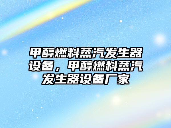 甲醇燃料蒸汽發(fā)生器設(shè)備，甲醇燃料蒸汽發(fā)生器設(shè)備廠家