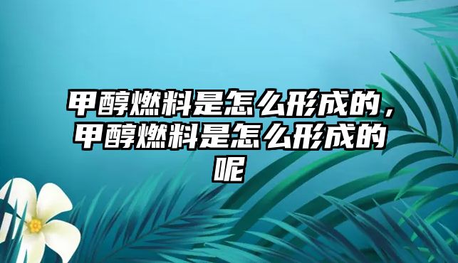 甲醇燃料是怎么形成的，甲醇燃料是怎么形成的呢