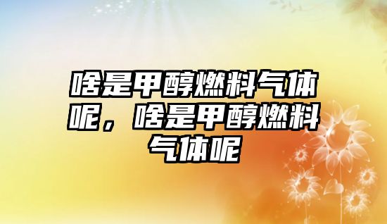 啥是甲醇燃料氣體呢，啥是甲醇燃料氣體呢