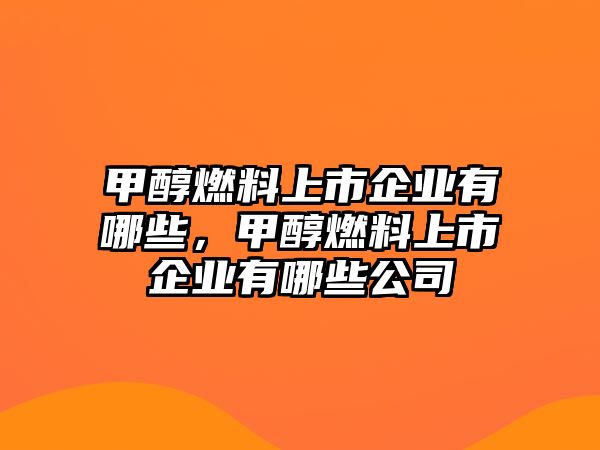 甲醇燃料上市企業(yè)有哪些，甲醇燃料上市企業(yè)有哪些公司