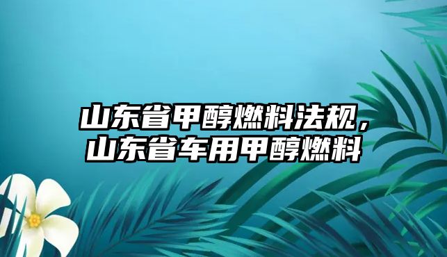 山東省甲醇燃料法規(guī)，山東省車(chē)用甲醇燃料