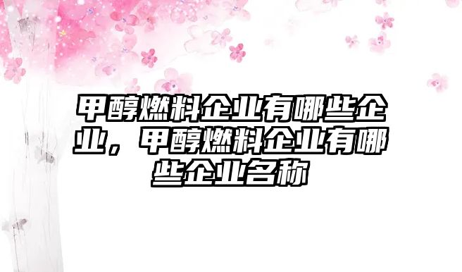 甲醇燃料企業(yè)有哪些企業(yè)，甲醇燃料企業(yè)有哪些企業(yè)名稱