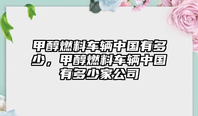 甲醇燃料車輛中國有多少，甲醇燃料車輛中國有多少家公司