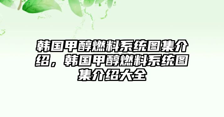 韓國甲醇燃料系統(tǒng)圖集介紹，韓國甲醇燃料系統(tǒng)圖集介紹大全