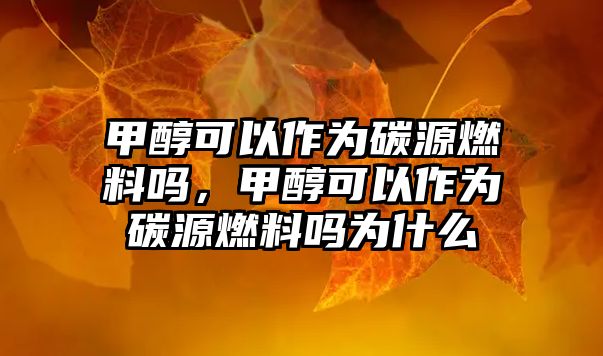 甲醇可以作為碳源燃料嗎，甲醇可以作為碳源燃料嗎為什么