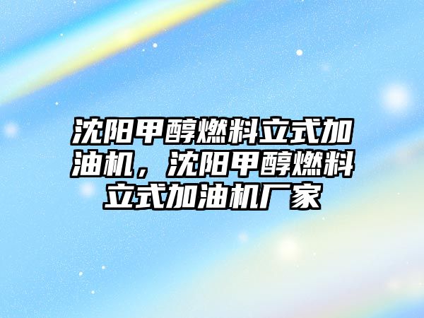 沈陽甲醇燃料立式加油機(jī)，沈陽甲醇燃料立式加油機(jī)廠家