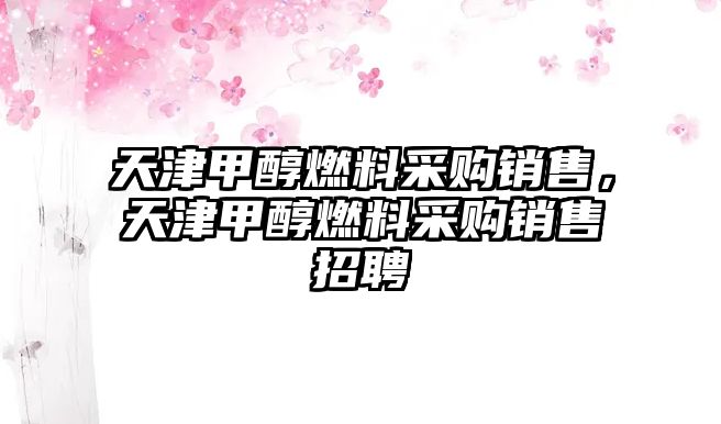 天津甲醇燃料采購銷售，天津甲醇燃料采購銷售招聘