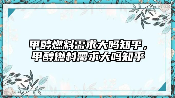 甲醇燃料需求大嗎知乎，甲醇燃料需求大嗎知乎