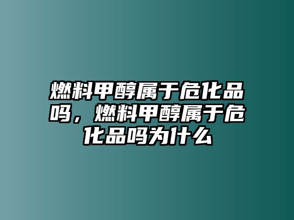 燃料甲醇屬于?；穯幔剂霞状紝儆谖；穯釣槭裁? class=