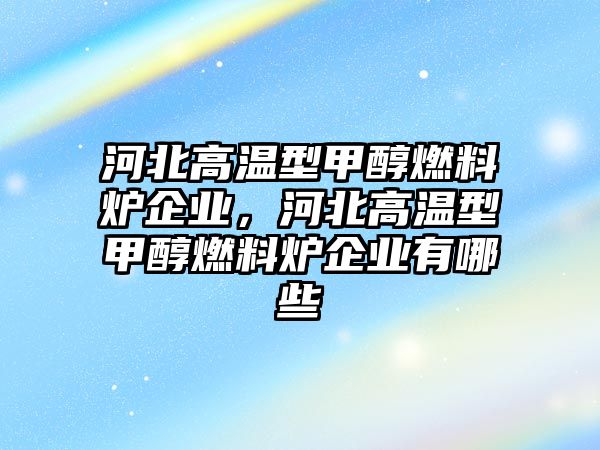 河北高溫型甲醇燃料爐企業(yè)，河北高溫型甲醇燃料爐企業(yè)有哪些