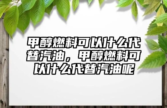 甲醇燃料可以什么代替汽油，甲醇燃料可以什么代替汽油呢