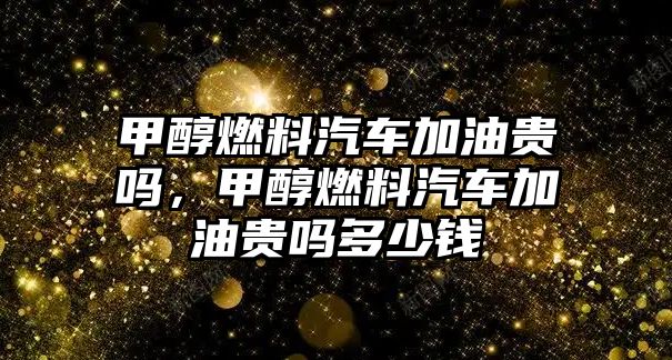 甲醇燃料汽車加油貴嗎，甲醇燃料汽車加油貴嗎多少錢