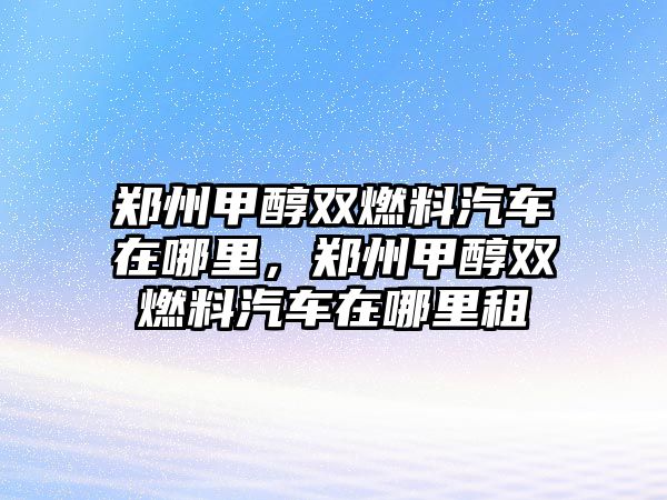 鄭州甲醇雙燃料汽車在哪里，鄭州甲醇雙燃料汽車在哪里租