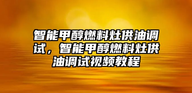 智能甲醇燃料灶供油調(diào)試，智能甲醇燃料灶供油調(diào)試視頻教程