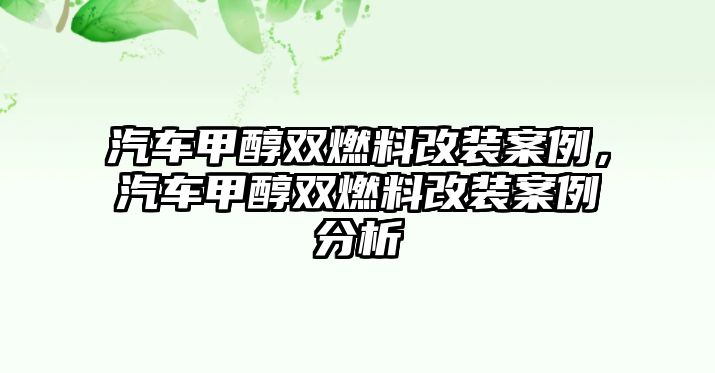 汽車甲醇雙燃料改裝案例，汽車甲醇雙燃料改裝案例分析