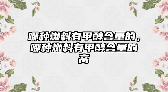 哪種燃料有甲醇含量的，哪種燃料有甲醇含量的高