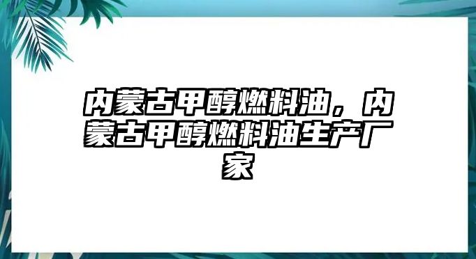 內蒙古甲醇燃料油，內蒙古甲醇燃料油生產(chǎn)廠家