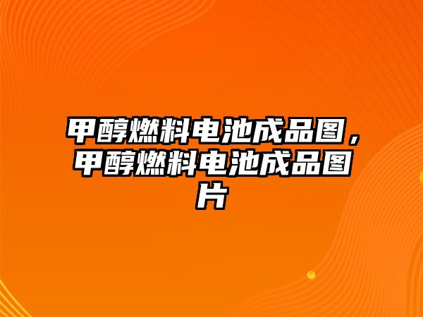 甲醇燃料電池成品圖，甲醇燃料電池成品圖片