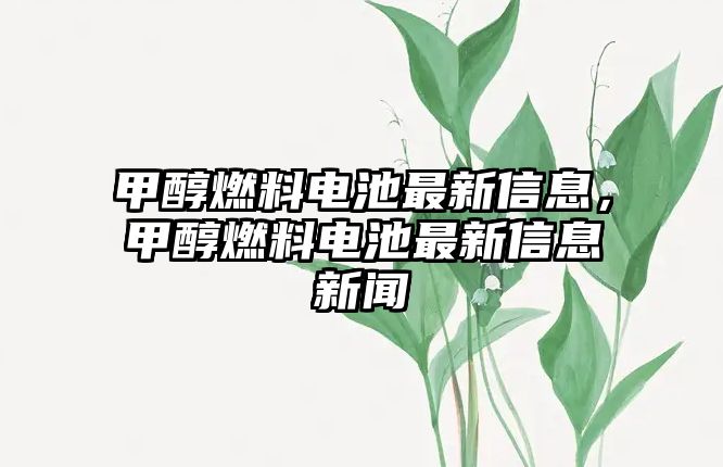 甲醇燃料電池最新信息，甲醇燃料電池最新信息新聞