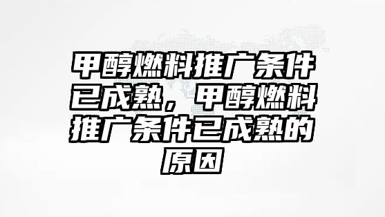 甲醇燃料推廣條件已成熟，甲醇燃料推廣條件已成熟的原因