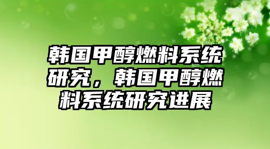 韓國甲醇燃料系統(tǒng)研究，韓國甲醇燃料系統(tǒng)研究進展