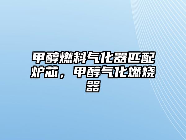 甲醇燃料氣化器匹配爐芯，甲醇?xì)饣紵? class=