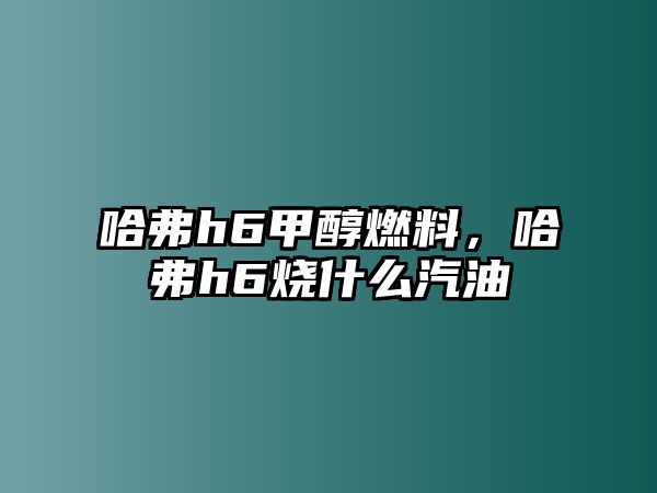 哈弗h6甲醇燃料，哈弗h6燒什么汽油