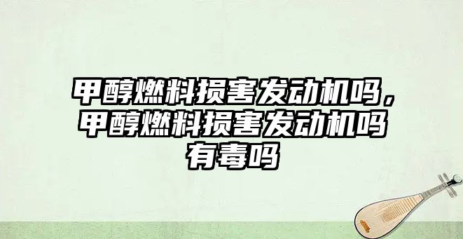 甲醇燃料損害發(fā)動機嗎，甲醇燃料損害發(fā)動機嗎有毒嗎