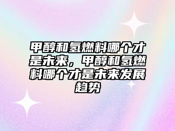 甲醇和氫燃料哪個(gè)才是未來(lái)，甲醇和氫燃料哪個(gè)才是未來(lái)發(fā)展趨勢(shì)