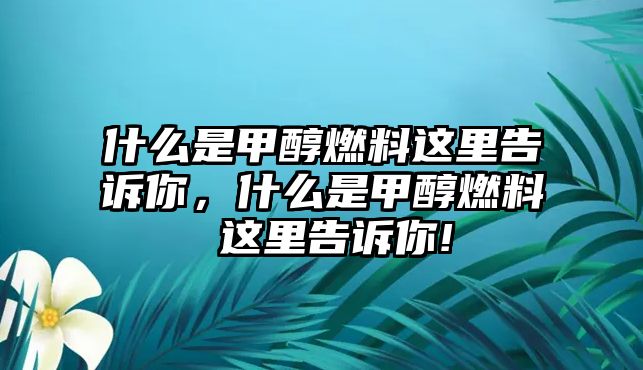 什么是甲醇燃料這里告訴你，什么是甲醇燃料 這里告訴你!