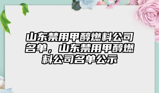 山東禁用甲醇燃料公司名單，山東禁用甲醇燃料公司名單公示