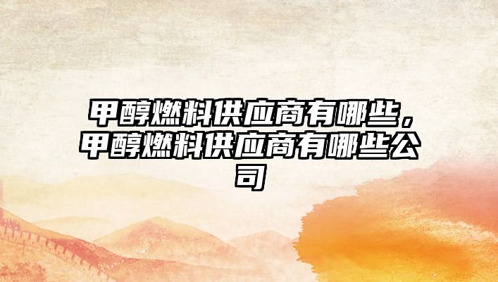 甲醇燃料供應(yīng)商有哪些，甲醇燃料供應(yīng)商有哪些公司