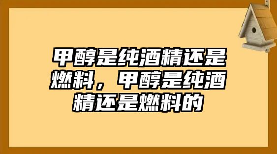 甲醇是純酒精還是燃料，甲醇是純酒精還是燃料的