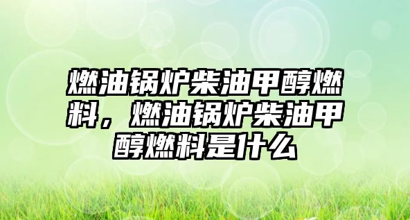 燃油鍋爐柴油甲醇燃料，燃油鍋爐柴油甲醇燃料是什么